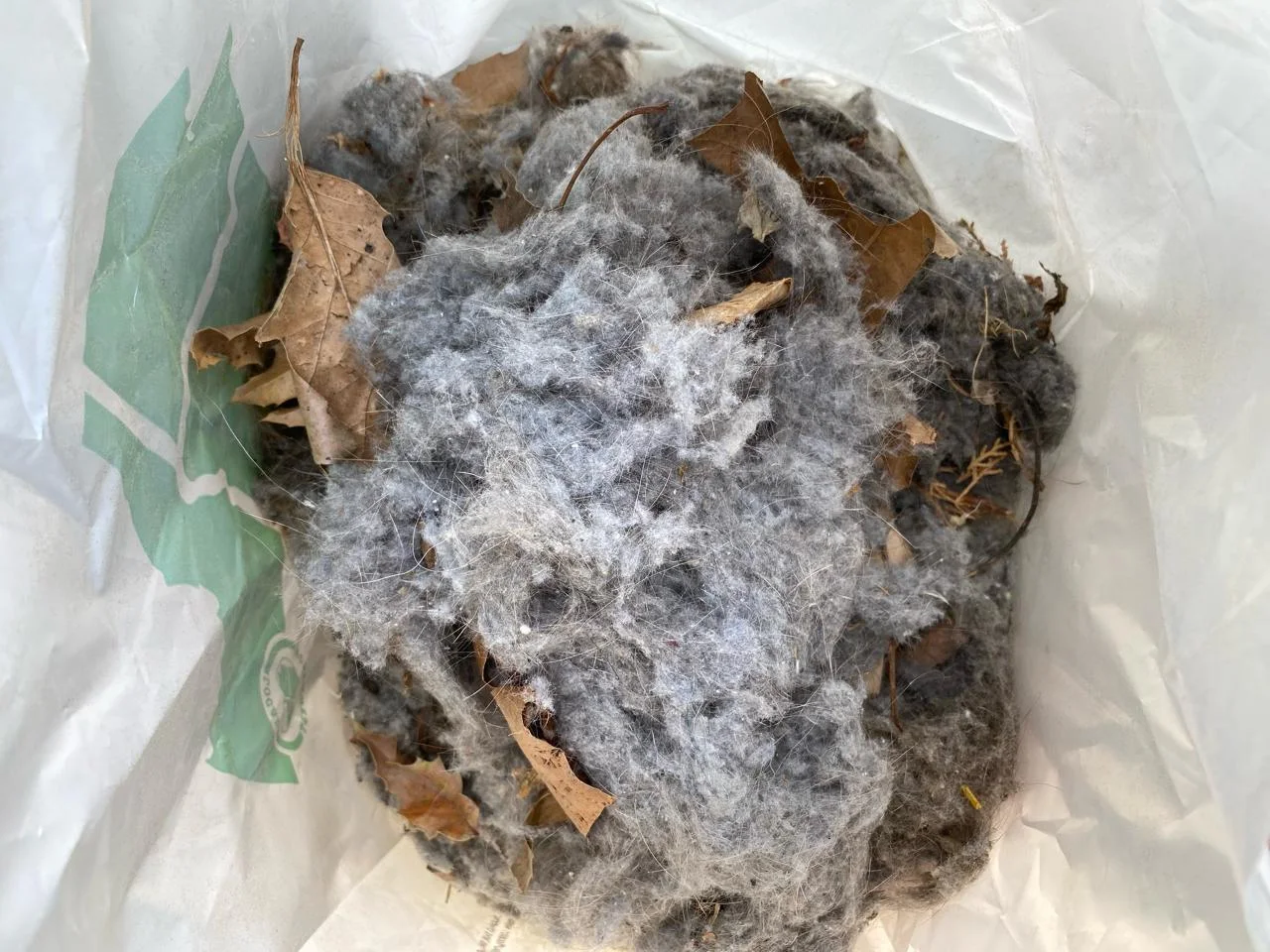 Massive lint accumulation removed from dryer vents at Macadam Apartments South Portland