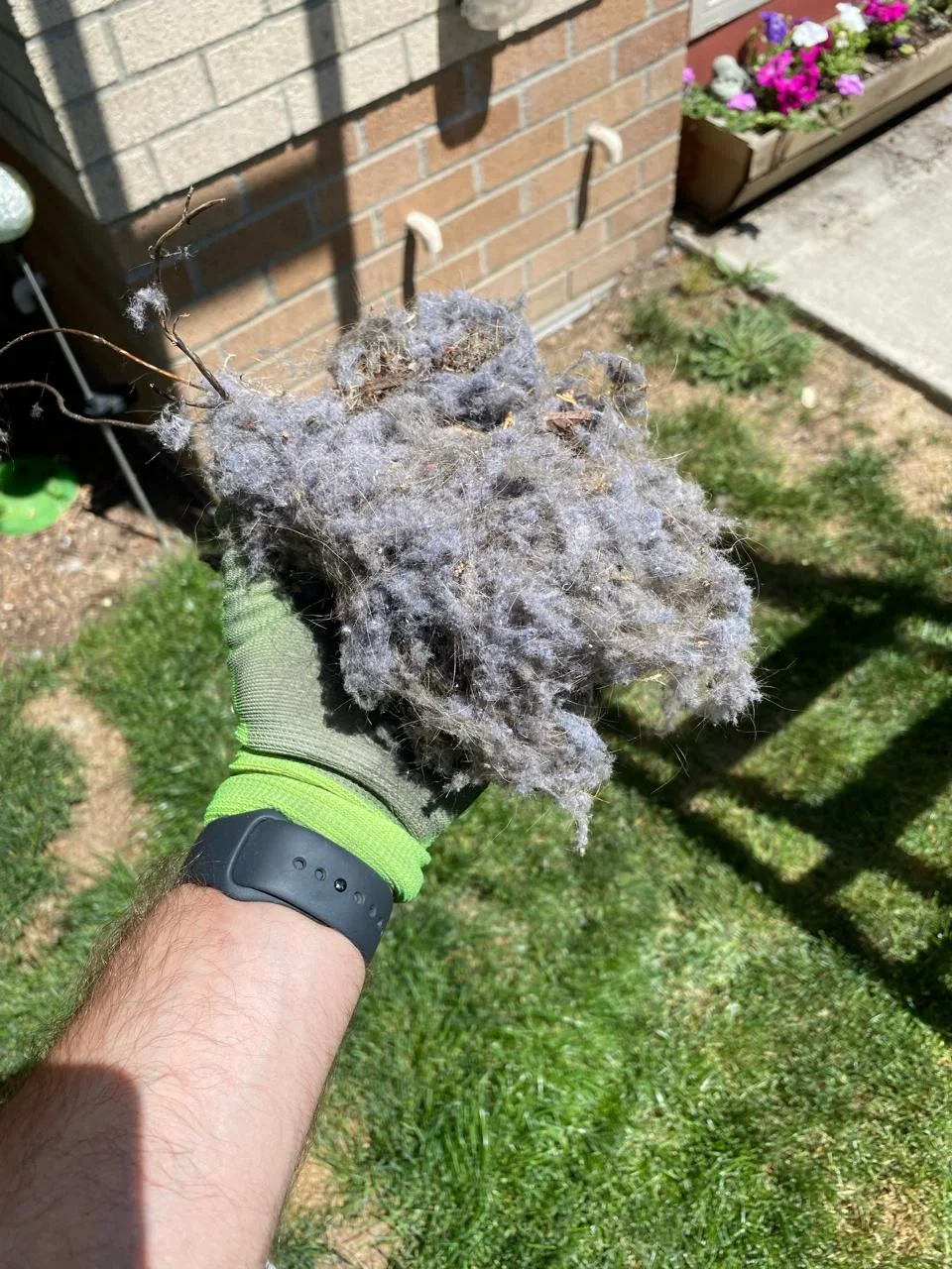 Additional lint and debris removed from apartment building dryer vents
