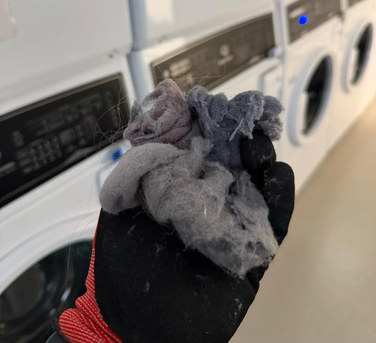 Lint and debris extracted from dryer vents at Springs Living Apartments Vancouver Waterfront